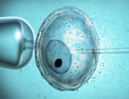 Ivf for Single Women Treatment India,Cost Ivf for Single Women Treatment Mumbai India,Ivf for Single Women, Ivf for Single Women Treatment, Ivf for Single Women Treatment Mumbai Bangalore Delhi India,  Ivf for Single Women Treatment Hospitals, Ivf for Single Women Surgery Center, Ivf for Single Women Treatment Clinic, Ivf for Single Women Surgeons India